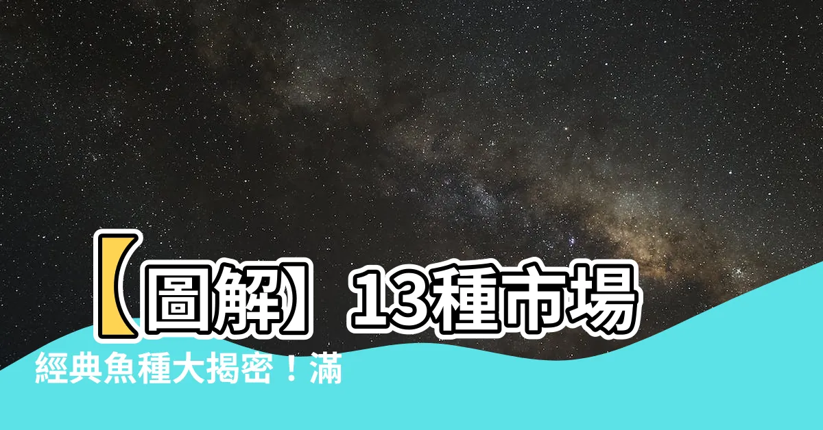 【魚種類】【圖解】13種市場經典魚種大揭密！滿足您對魚的好奇心！