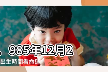 【陽曆1985年12月27日】1985年12月27日出生時間看命運 |農曆1985年12月27日生日算命 |1985年12月27日出生日期看命運 |