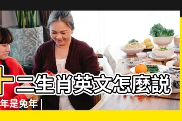 【十二生肖雞英語怎麼説】十二生肖英文怎麼説 |今年是兔年 |英文怎麼説 |