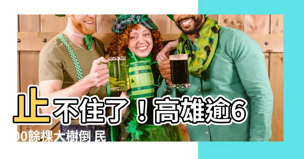 【大樹倒】止不住了！高雄逾600餘棵大樹倒 民眾注意安全
