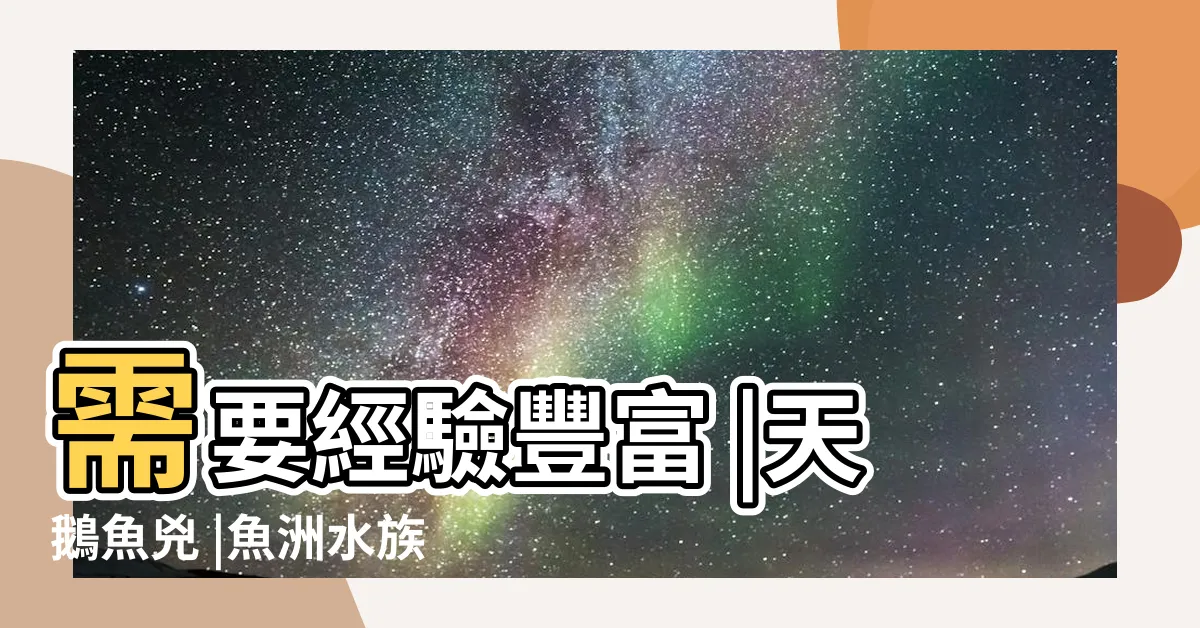 【天鵝魚兇】需要經驗豐富 |天鵝魚兇 |魚洲水族館 |