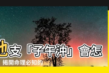 【子午沖會怎樣】地支「子午沖」會怎樣：揭開命理必知的沖煞危機！