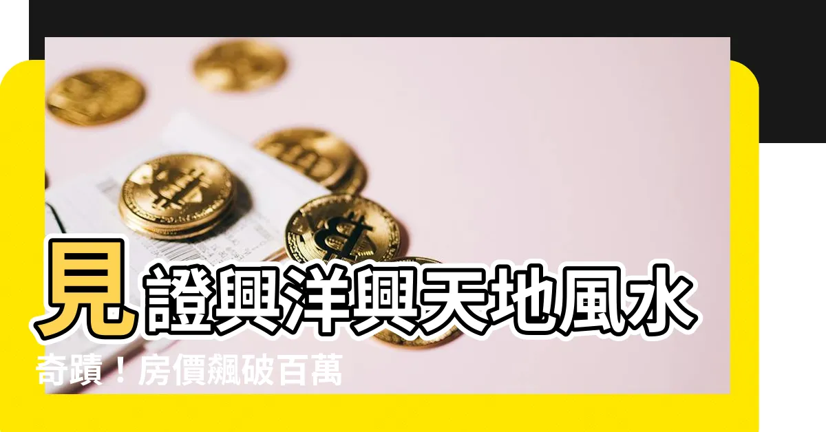 【興洋興天地風水】見證興洋興天地風水奇蹟！房價飆破百萬，8字頭破盤價搶市
