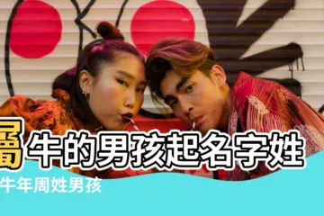 【牛年姓周男孩名字】屬牛的男孩起名字姓周 |牛年周姓男孩好聽有內涵的名字 |屬牛的男孩起名字姓周 |