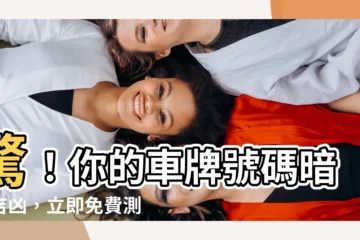 【車牌吉凶測試】驚！你的車牌號碼暗藏吉凶，立即免費測試
