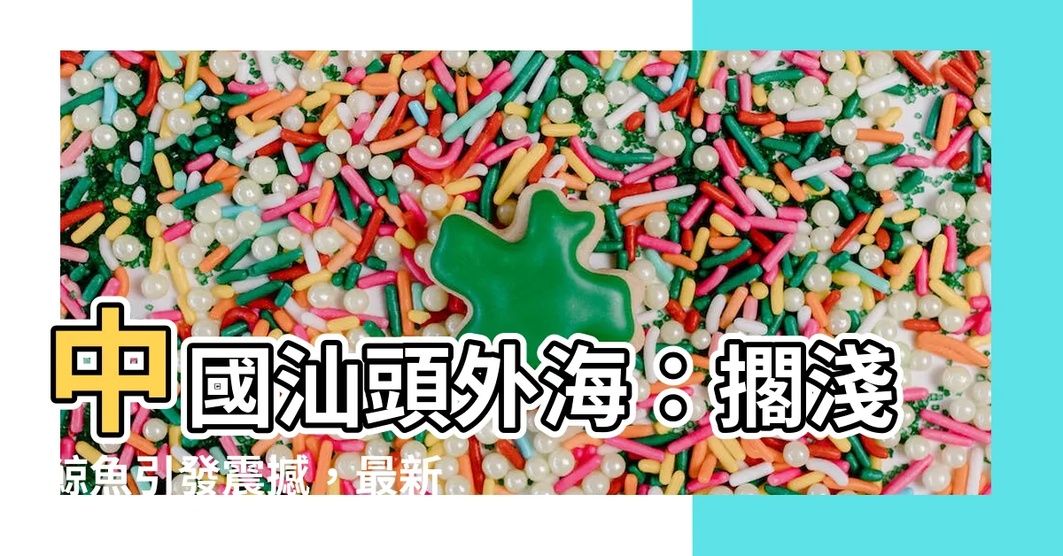 【中國汕頭外海】中國汕頭外海：擱淺鯨魚引發震撼，最新進展曝光