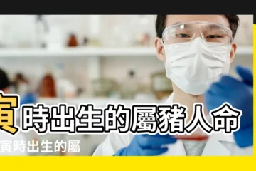 【屬豬寅時命運和性格】寅時出生的屬豬人命運 |寅時出生的屬豬人命運如何 |寅時出生的屬豬人命運如何 |