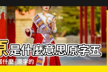 【五行筆畫原是幾畫】原是什麼意思原字五行屬什麼 |原字的繁體字怎麼寫 |原圖掃描版 |