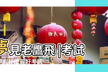 【考試前夢到鷹】夢見老鷹飛 |考試前夢到什麼最好考試前夢到什麼最好是什麼意思 |夢見老鷹在手上是什麼意思 |