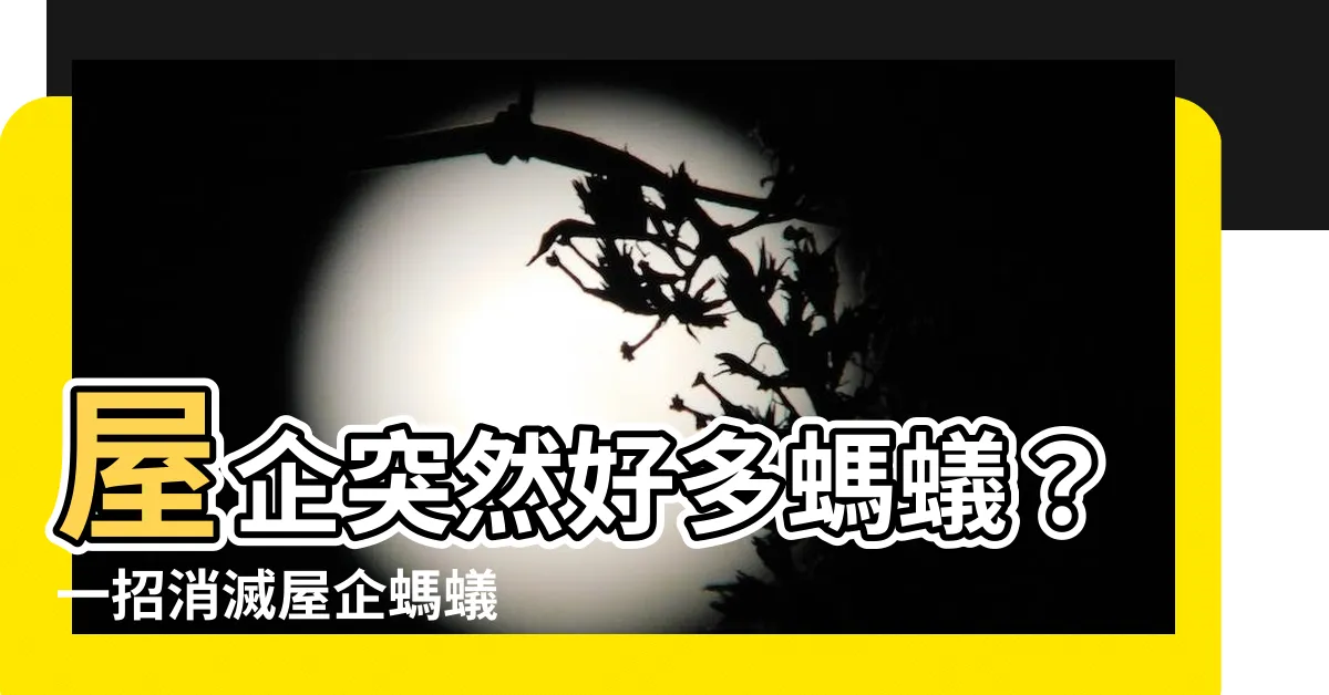 【屋企突然好多螞蟻】屋企突然好多螞蟻？一招消滅屋企螞蟻