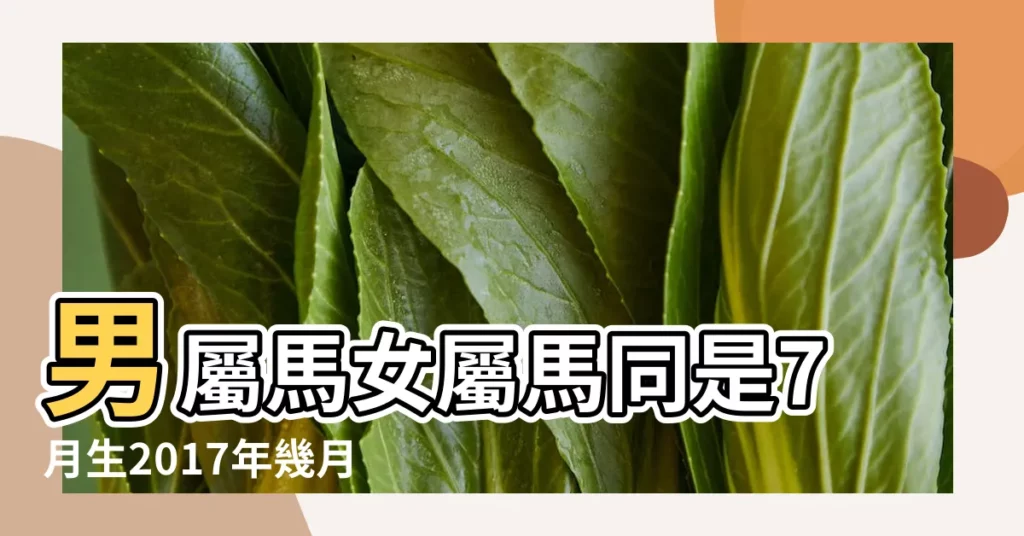 男屬馬女屬馬同是7月生2017年幾月幾日為結婚吉日 |2017年結婚吉日一覽表 |男屬馬女屬馬17年12月24日結婚日是不是吉日 |【2017年屬馬女農曆結婚吉日】