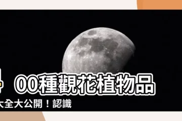 【花 大全】400種觀花植物品種大全大公開！認識花花一點也不難