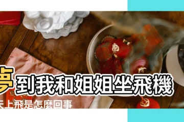 【女人夢見和姐姐坐飛機】夢到我和姐姐坐飛機在天上飛是怎麼回事 |女人夢見和朋友坐飛機預示什麼意思 |夢見和家人坐飛機 |