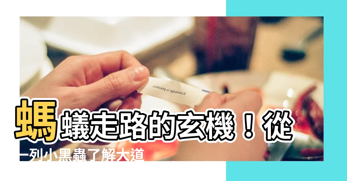 【螞蟻走路】螞蟻走路的玄機！從一列小黑蟲瞭解大道理