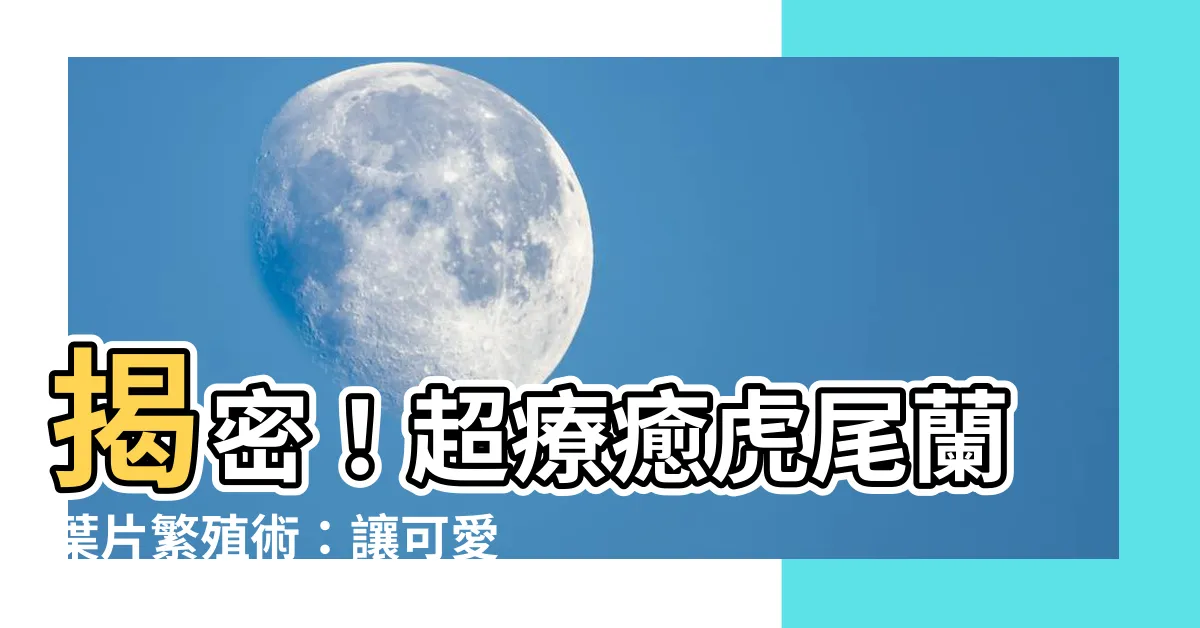 【虎尾蘭葉片繁殖】揭密！超療癒虎尾蘭葉片繁殖術：讓可愛小嫩芽在水中搖曳