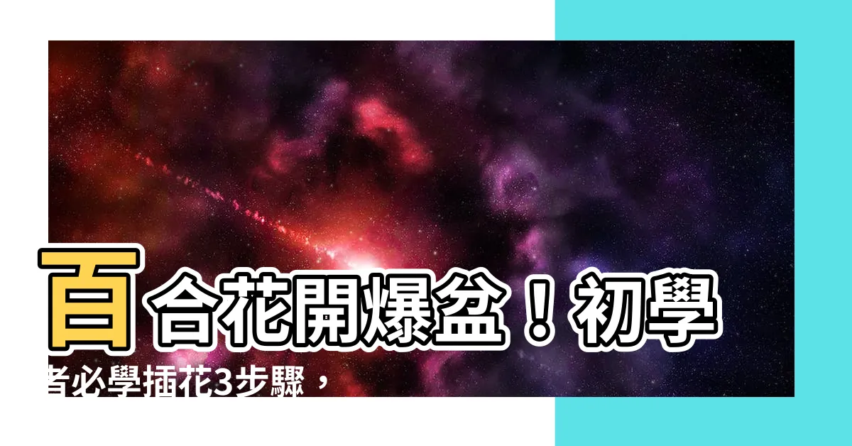【百合插花】百合花開爆盆！初學者必學插花3步驟，讓百合花活上一個月