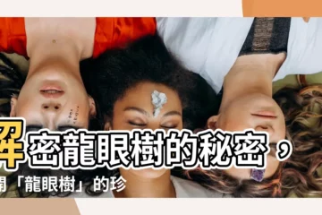 【龍眼樹】解密龍眼樹的秘密，揭開「龍眼樹」的珍貴價值