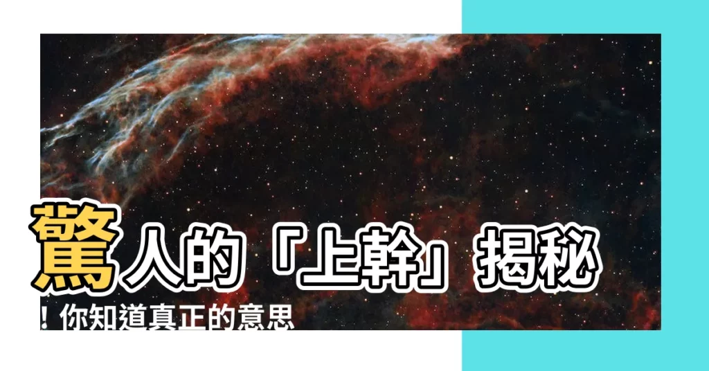 【上幹 意思】驚人的「上幹」揭秘！你知道真正的意思嗎？