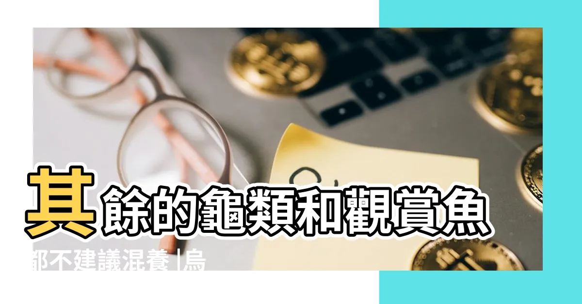 【烏龜魚】其餘的龜類和觀賞魚都不建議混養 |烏龜可以和魚一起養嗎 |什麼魚可以跟烏龜一起混養 |