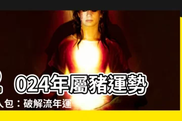 【2024年 屬豬】2024年屬豬運勢懶人包：破解流年運勢，把握好運時機！