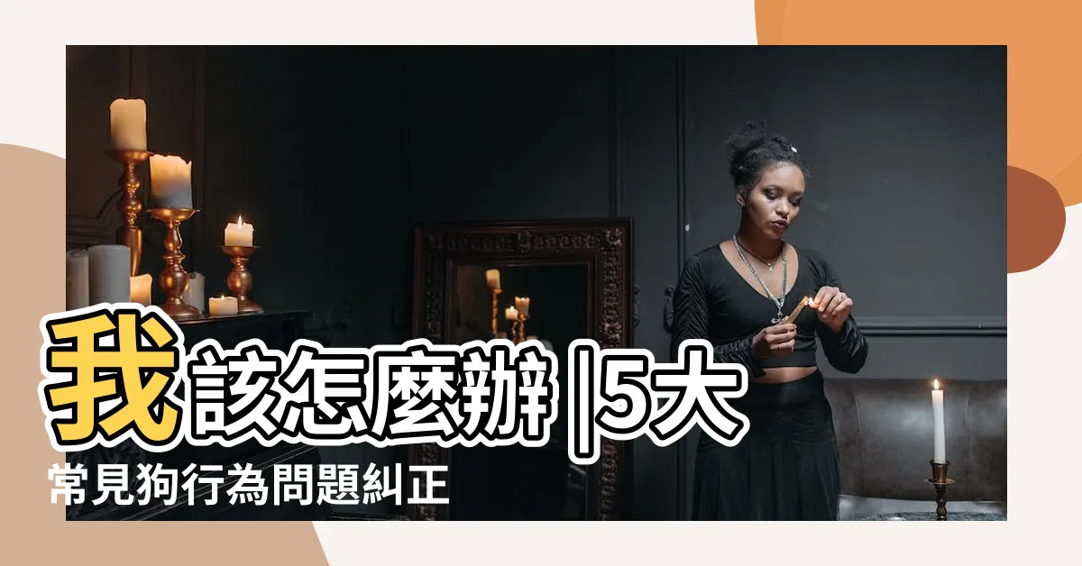 【如何防止狗狗亂大便】我該怎麼辦 |5大常見狗行為問題糾正教學 |狗狗隨地大小便 |