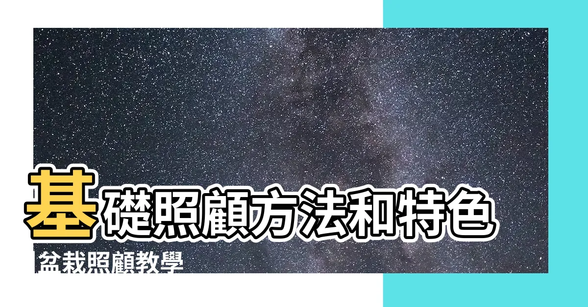 【瑪莉安黛粉葉照顧】基礎照顧方法和特色 |盆栽照顧教學 |瑪莉安黛粉葉日常養護照顧方法 |