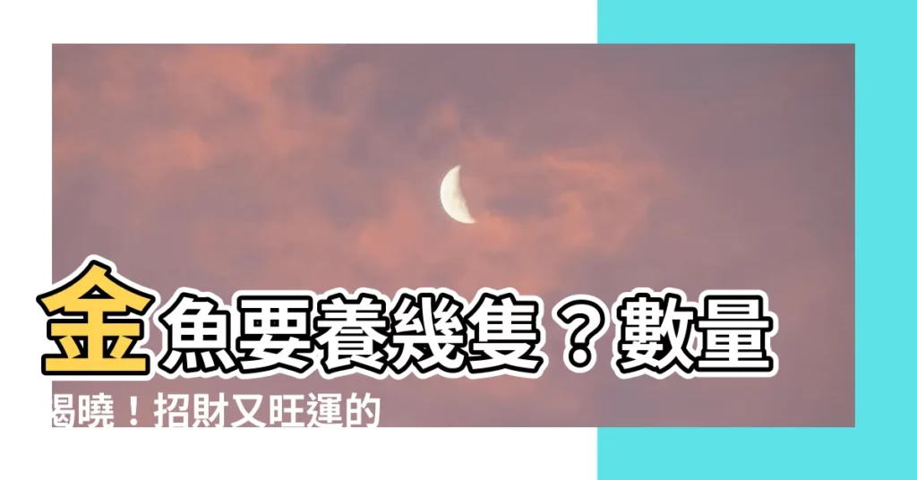 【金魚要養幾隻】金魚要養幾隻？數量揭曉！招財又旺運的魚缸密訣