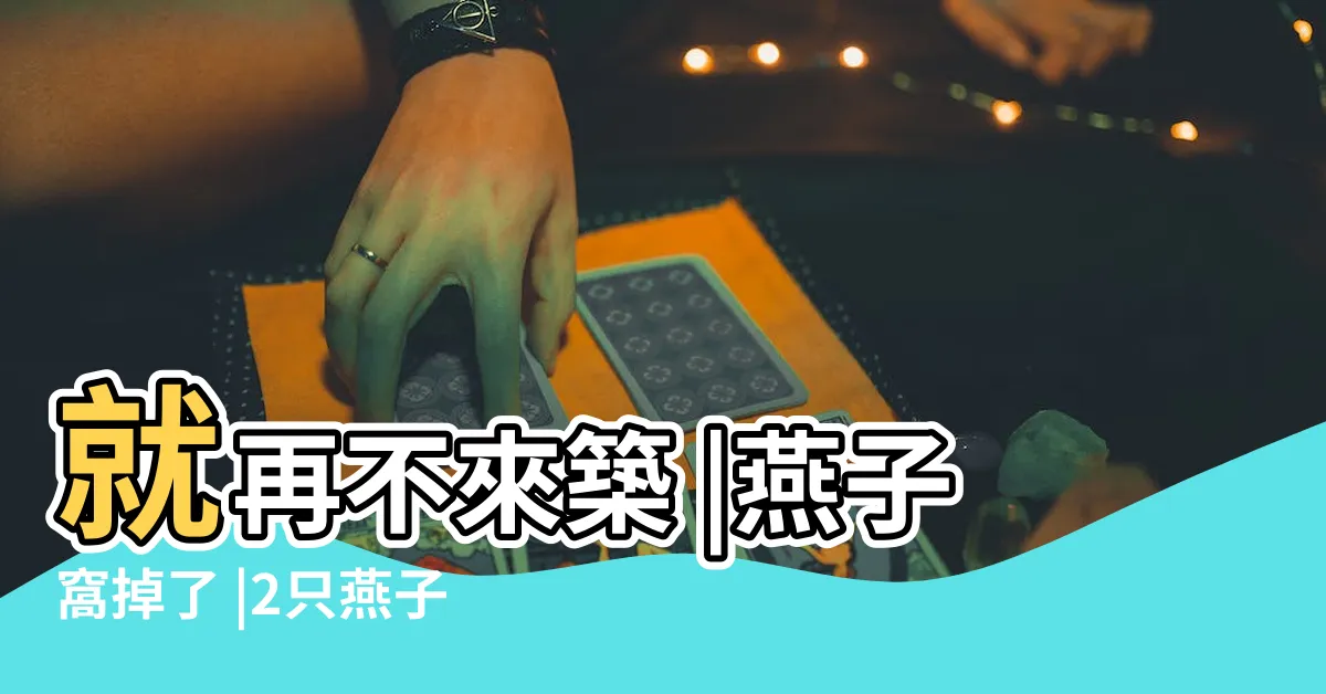 【燕子窩 破壞】就再不來築 |燕子窩掉了 |2只燕子進家裏什麼徵兆 |