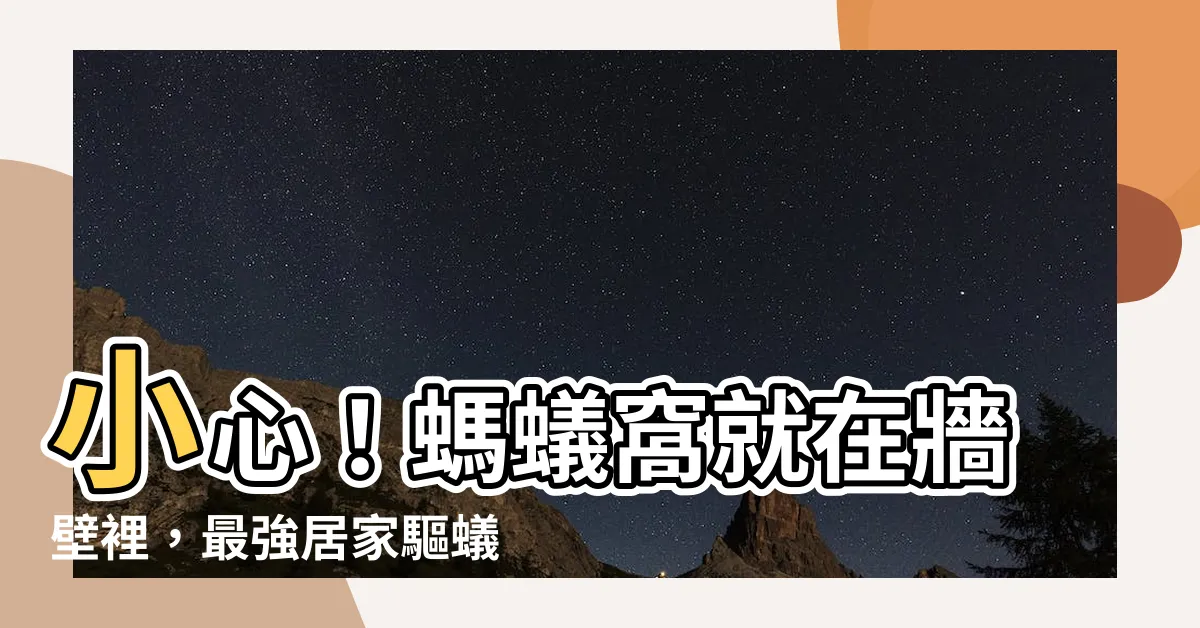 【螞蟻窩牆壁】小心！螞蟻窩就在牆壁裡，最強居家驅蟻法大公開