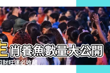 【生肖養魚數量】生肖養魚數量大公開！招財旺運必收藏