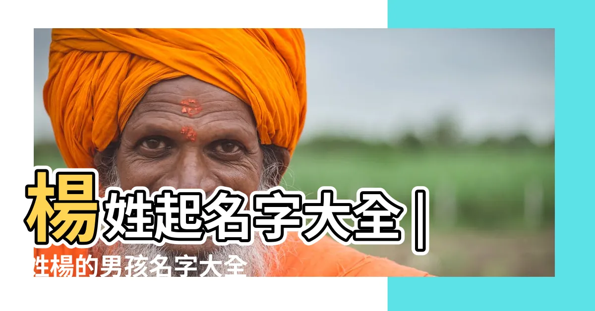 【楊 取名】楊姓起名字大全 |姓楊的男孩名字大全 |楊姓名字大全 |