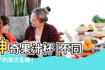 【果汁杯名稱】神奇果汁杯 |不同杯子的英文名稱 |果盤及果汁類 |