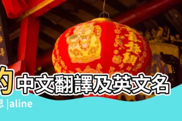 【aline英文名怎麼讀】的中文翻譯及英文名意思 |aline |Aline英文名寓意含義和讀音 |