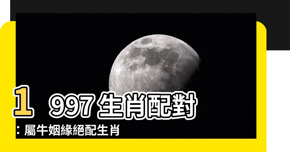 【1997生肖配對】1997 生肖配對：屬牛姻緣絕配生肖報你知！