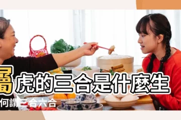 【屬虎人三合指的是什麼】屬虎的三合是什麼生肖 |何謂三合六合 |六合解析 |
