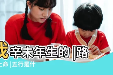 【辛末年臘月初一是什麼命】我辛未年生的 |路旁土命 |五行是什麼 |