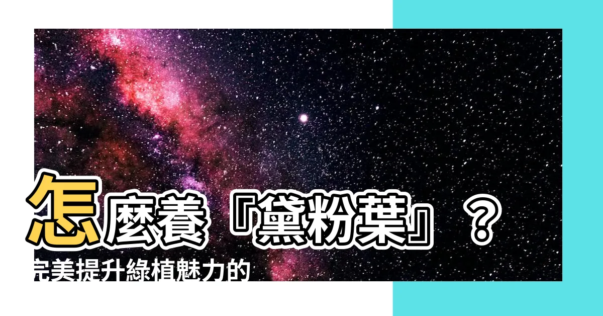 【黛粉葉】怎麼養『黛粉葉』？完美提升綠植魅力的關鍵秘訣！
