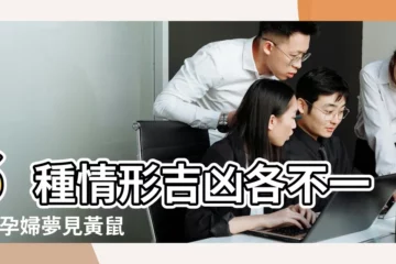 【懷孕做夢夢見小黃鼠狼】6種情形吉凶各不一樣 |孕婦夢見黃鼠狼不止預示生男孩 |周公解夢 |