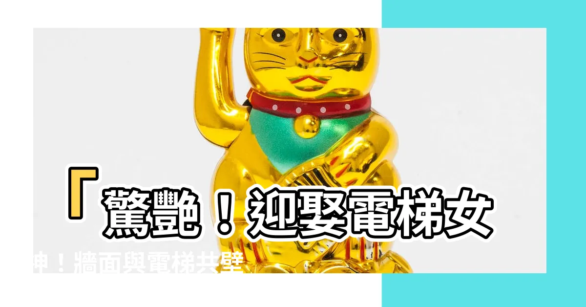 【電梯牆】「驚艷！迎娶電梯女神！牆面與電梯共壁之房，絕對讓你心動！」