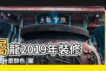 【2019年屬龍人適合什麼顏色】屬龍2019年裝修適合什麼顏色 |屬龍人2019年的幸運顏色 |2019什麼顏色旺你運 |