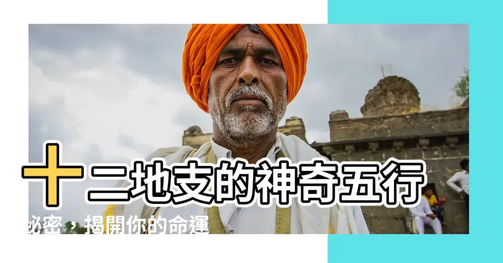 【十二地支的五行】十二地支的神奇五行秘密，揭開你的命運之鑰！