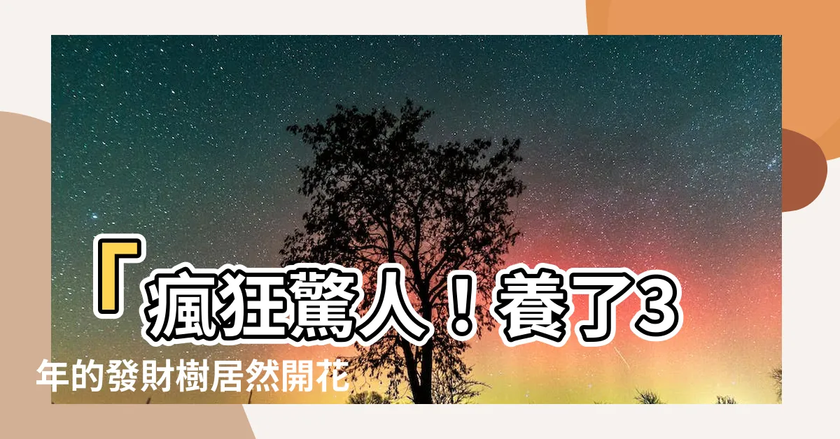 【發財樹會開花】「瘋狂驚人！養了3年的發財樹居然開花，驚嚇全城，誰敢想像？」