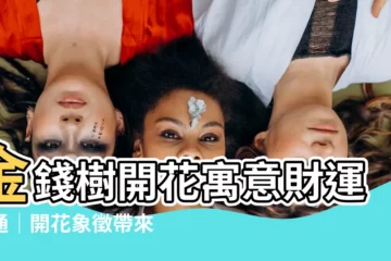 【金錢樹開花意義】金錢樹開花寓意財運亨通│開花象徵帶來幸運好運