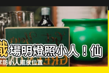 【仙人掌防小人擺放位置】職場明燈照小人！仙人掌防小人擺放位置大公開