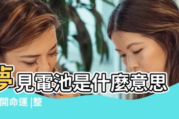 【夢見好多電池掉地上】夢見電池是什麼意思 |玅開命運 |整理好多個派網頁的解夢數字 |