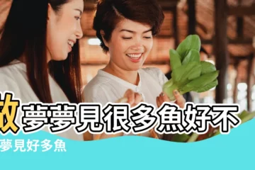 【夢見好多魚兒在穿梭】做夢夢見很多魚好不好 |夢見好多魚 |夢到海里好多魚 |