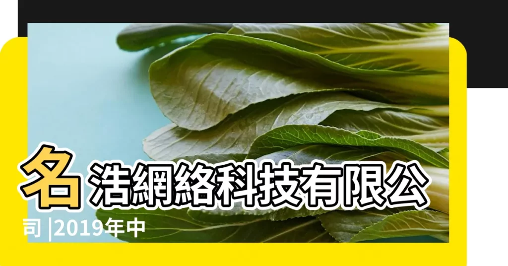 名浩網絡科技有限公司 |2019年中國互聯網企業100強榜單揭曉 |【名浩網絡有限公司怎麼樣】