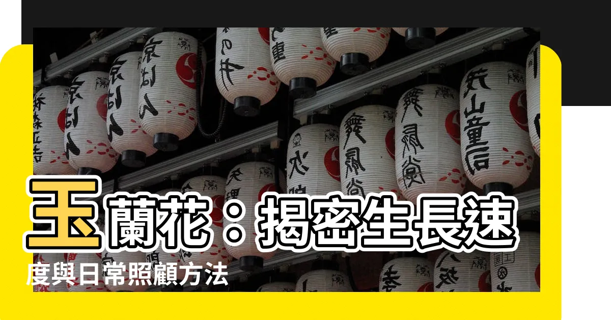 【玉蘭花生長速度】玉蘭花：揭密生長速度與日常照顧方法