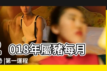 【2018屬豬每月運程運勢】2018年屬豬每月運勢 |第一運程 |屬豬2018年運勢及運程 |