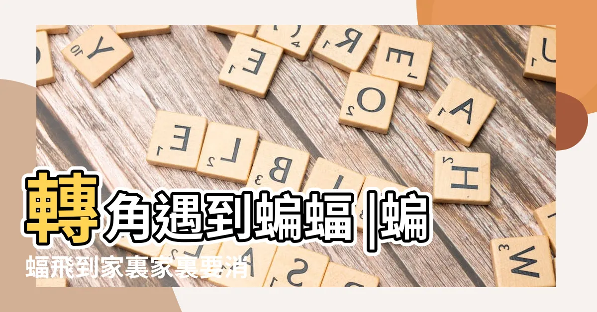 【蝙蝠飛進家裡要消毒嗎】轉角遇到蝙蝠 |蝙蝠飛到家裏家裏要消毒嗎 |蝙蝠飛進家裏需要消毒嗎蝙蝠飛進家裏需不需要消毒 |